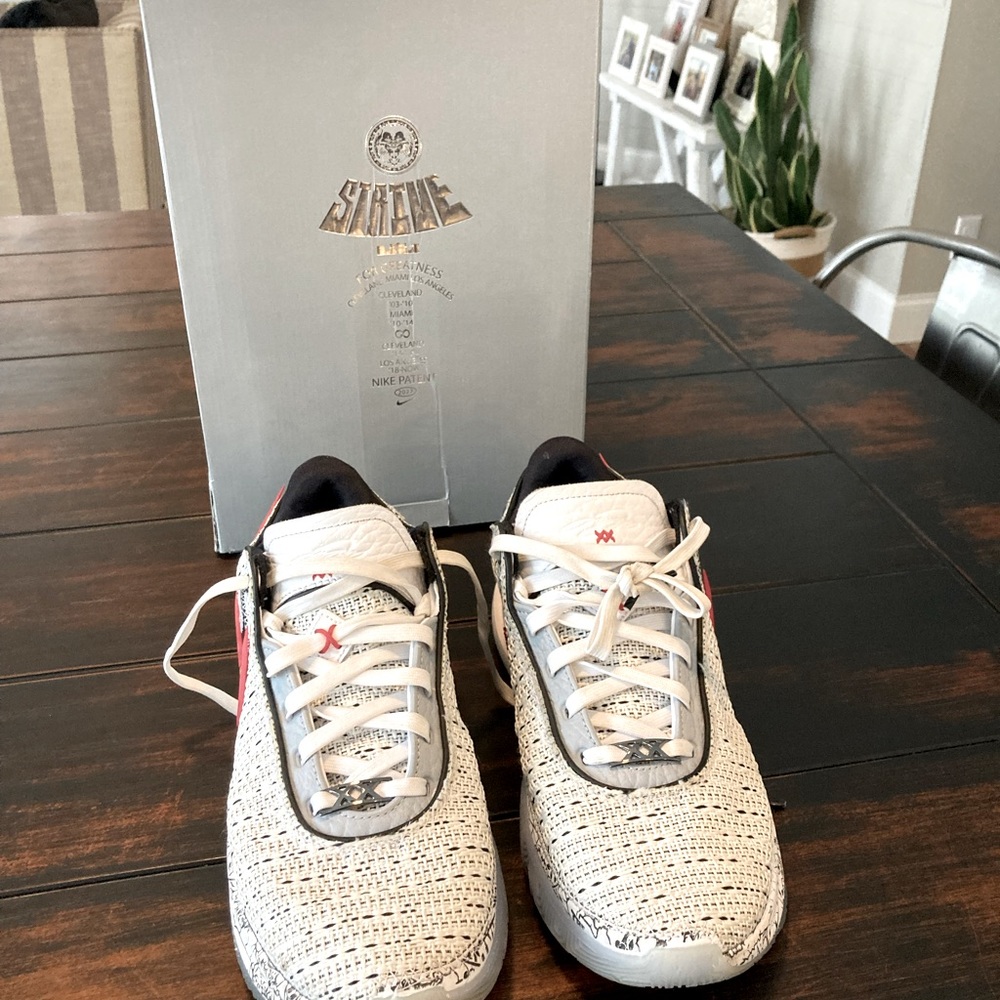 Nike Lebrons XX, Size 9.